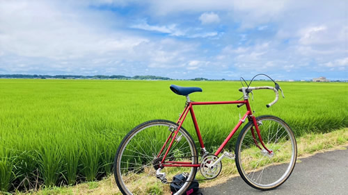 サイクリングロード