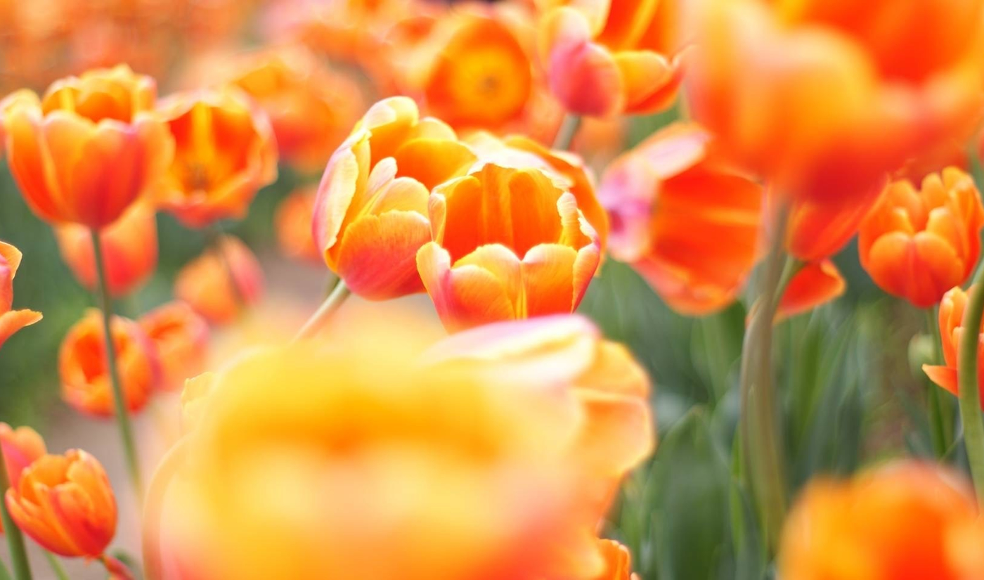 写真03